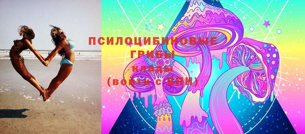 винт Абаза