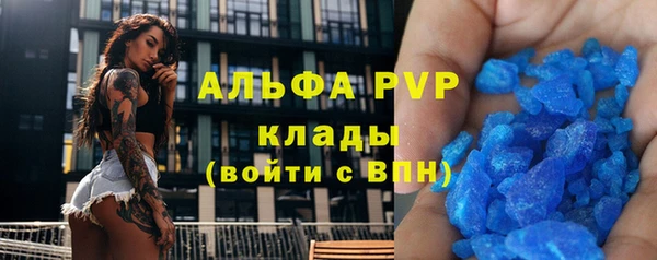 стафф Алексин