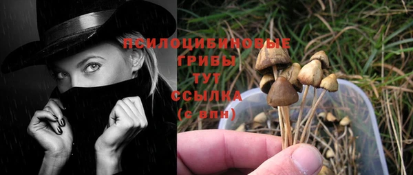 ПСИЛОЦИБИНОВЫЕ ГРИБЫ Абинск